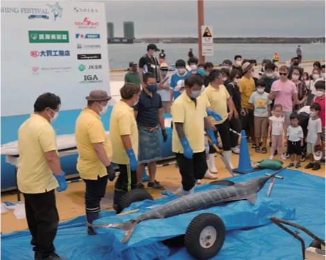カジキ解体