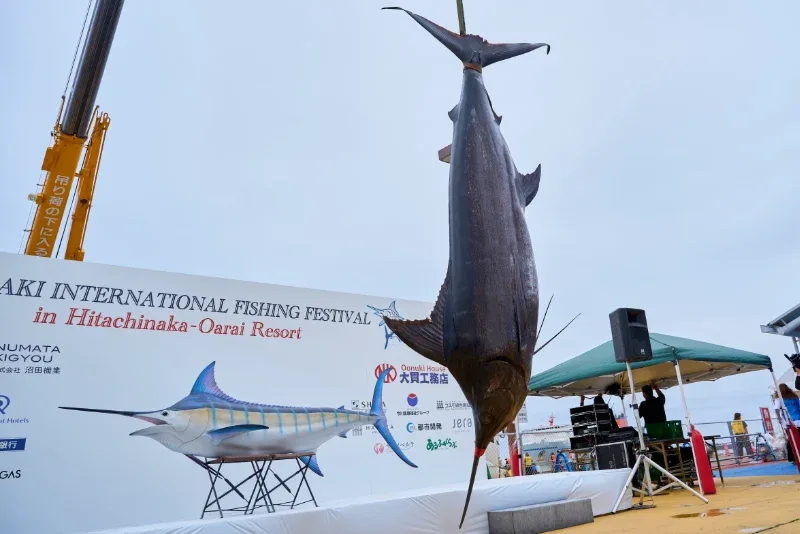 LATE RISERが釣り上げたマカジキ