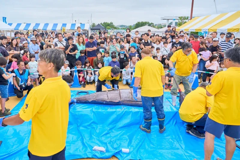 カジキ解体ショー
